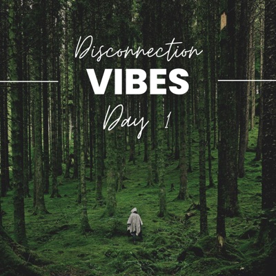 Disconnection Vibes Day 1