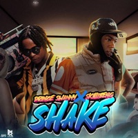 Album cover for Shake (feat. Skillibeng) - Single by Prince Swanny