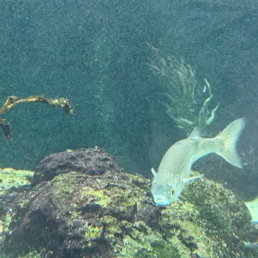 hold me in your arms