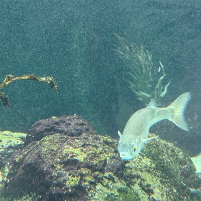 hold me in your arms