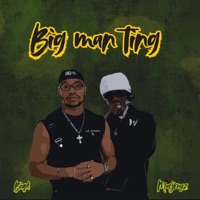 BIG MAN TING (feat. Macjreyz) - Single - BiqD