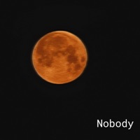 Nobody - Single - King Koda