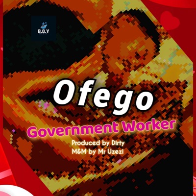 Government Worker - Single