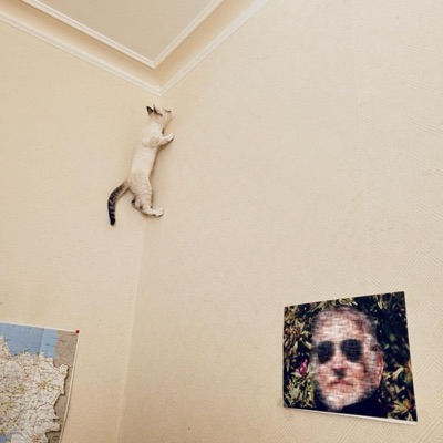 C'est pas de l'égotrip - Single