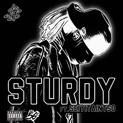 STURDY (feat. Seiyitaintso) - Single