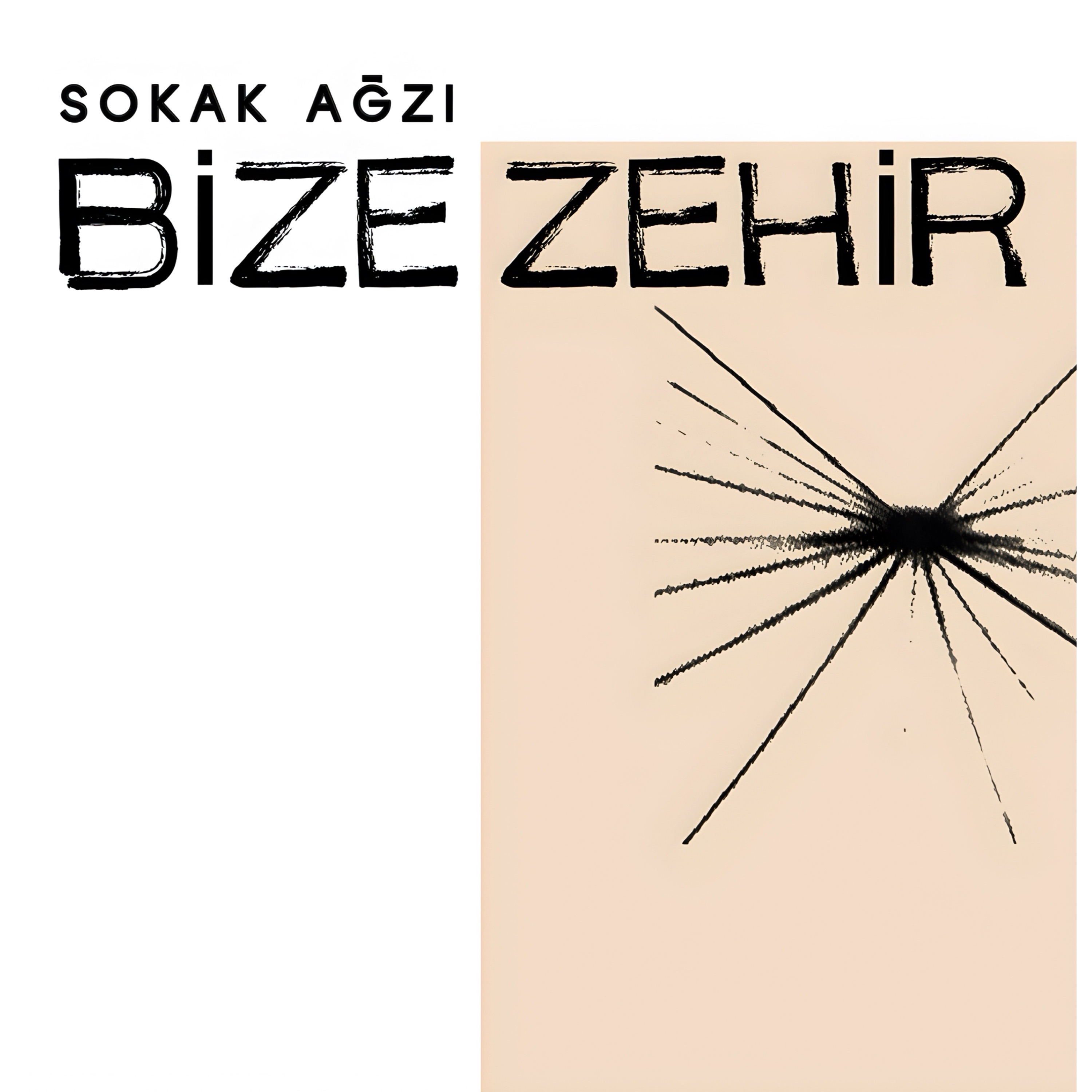 Bize Zehir - Single