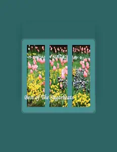 收听 SugarBeats、观看音乐视频、阅读小传、查看巡演日期等 ！