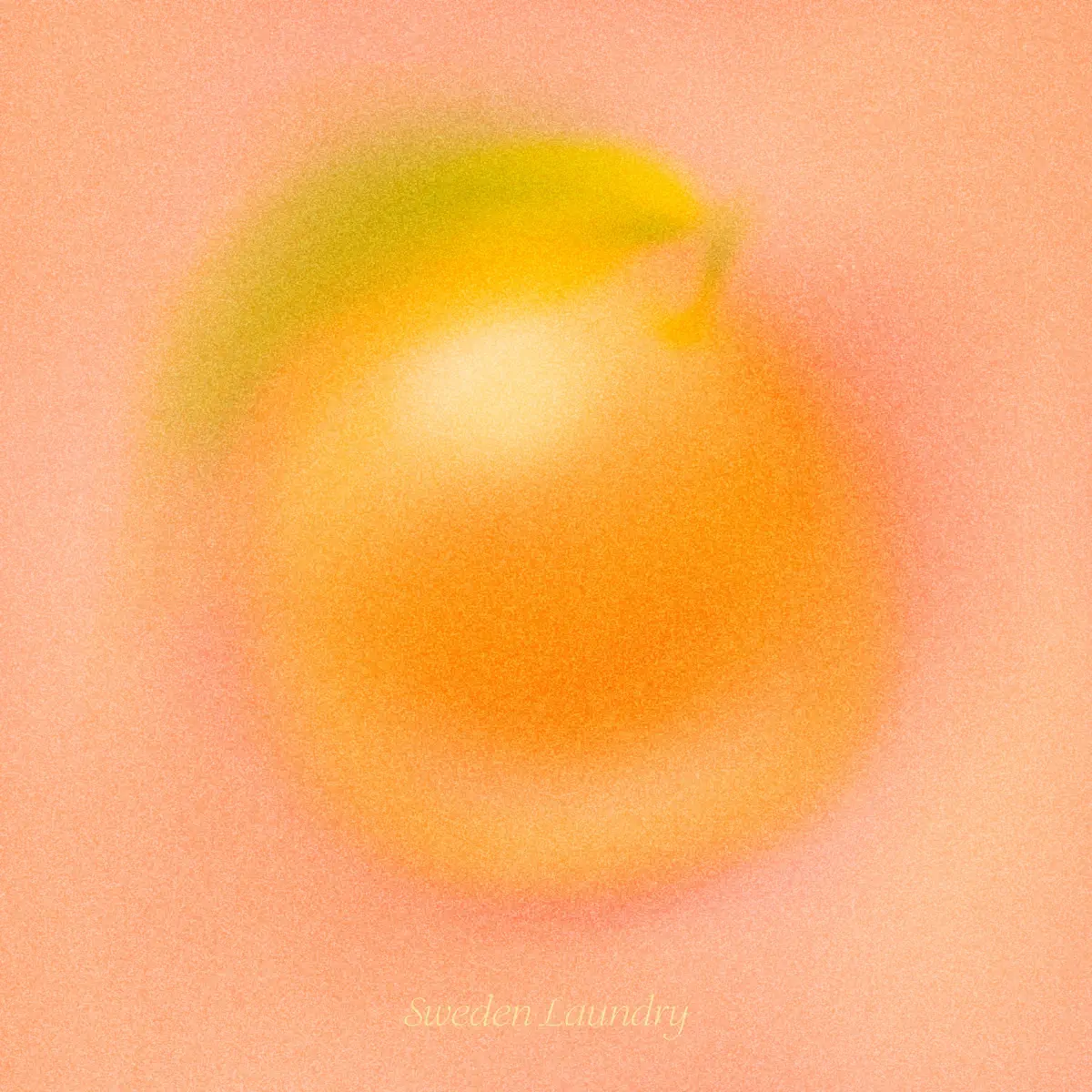 Sweden Laundry - Our Own Oranges - EP (2024) [iTunes Plus AAC M4A]-新房子