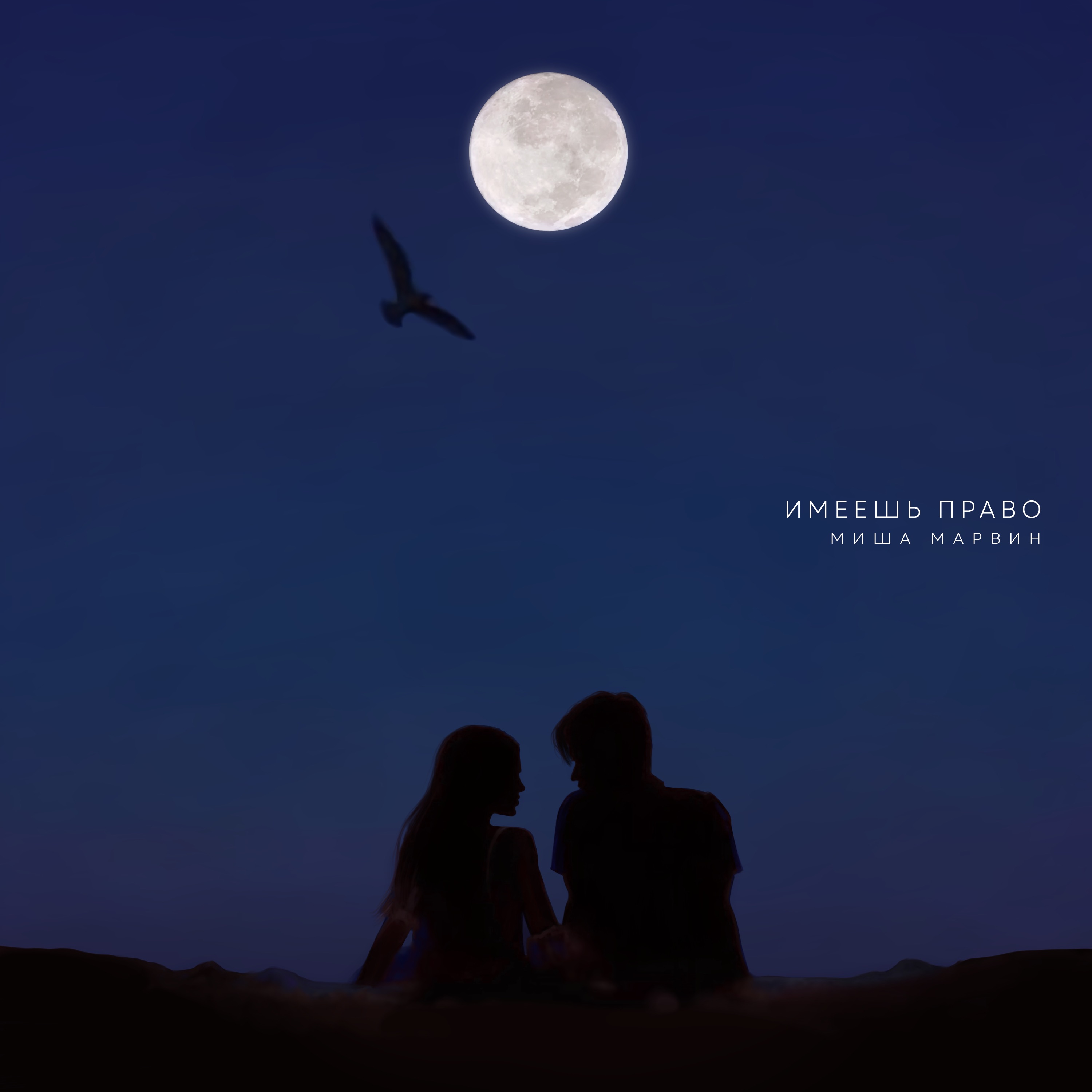 Имеешь право - Single