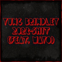 2028-SHIT (feat. MaYo) - Single - Yung Brindley