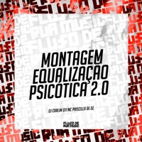 Montagem Equalização Psicótica 2.0 - Single - DJ CARLIM 011 & MC Priscila de Oz