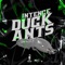 Duck Ants artwork