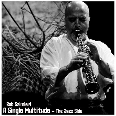 A Single Multitude - The Jazz Side