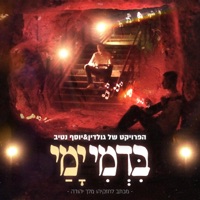 בדמי ימי (feat. יוסף נטיב) - Single - הפרויקט של גולדין