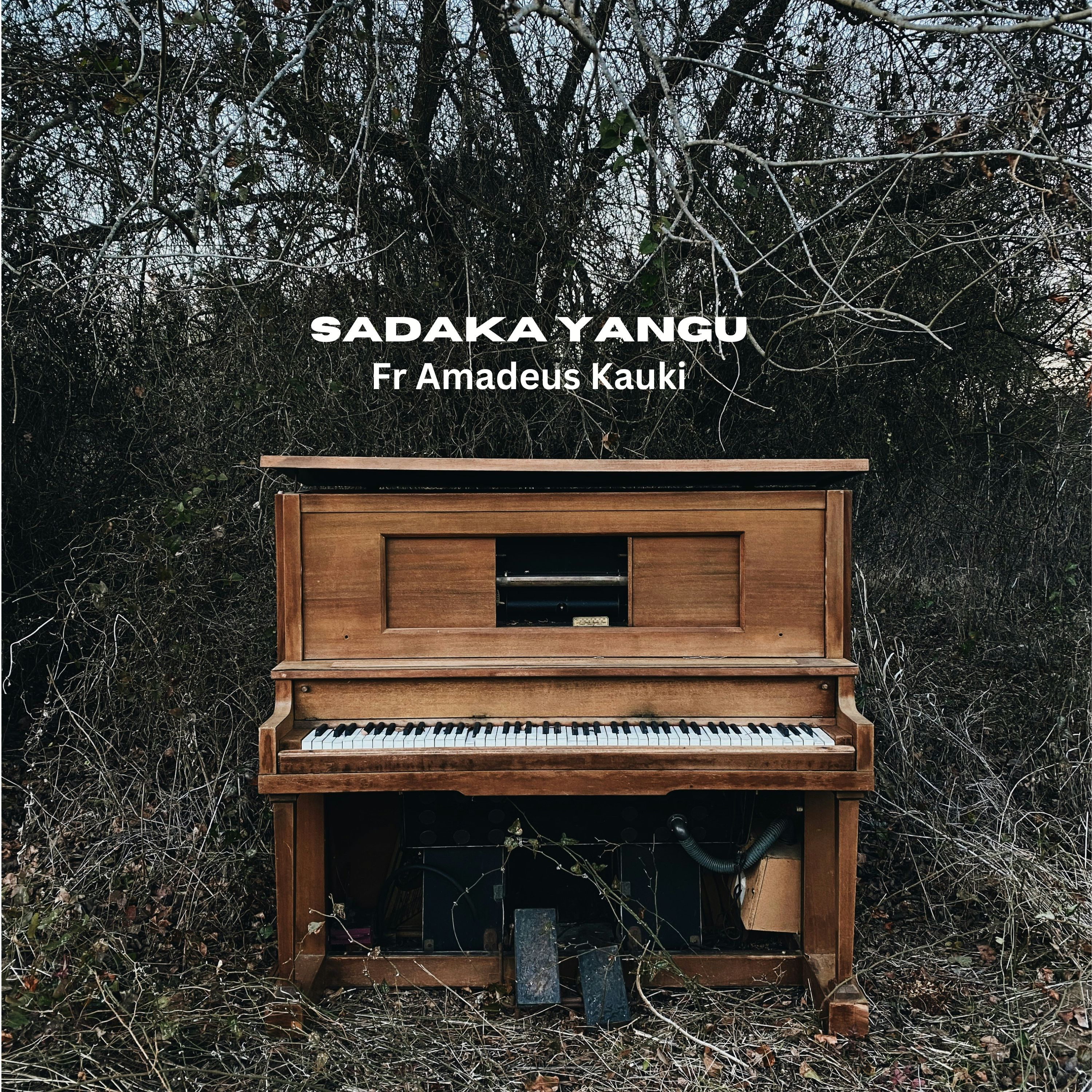 Sadaka Yangu - Single