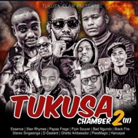 Tukusa Chamber 2(II) (feat. Black Ninjah) - Single - Essence