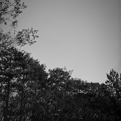 lies (feat. Skull & Darkhan!) - Single