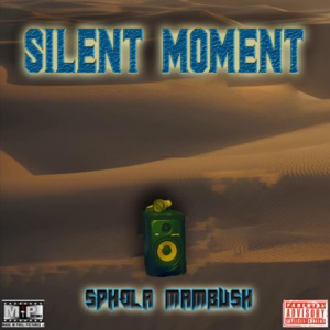 Silent Moment twelve (feat. Sphola Mambush)