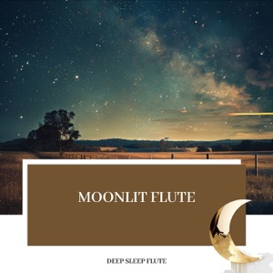 Moonlit Flute: Soothing Nighttime Serenity