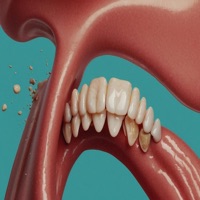 Gums - Single - LINKO