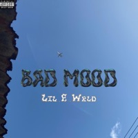 Bad Mood - Single - Lil_E_Wrld