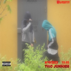 America (feat. deseness) molliwhoppin & m1steryyy