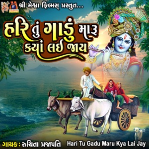 Hari Tu Gadu Maru Kya Lai Jay - Single