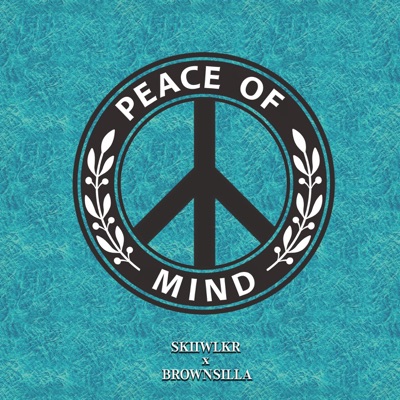 Peace of Mind (POM) [Radio Edit] - Single