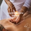 Soothing Spa Waves: A Journey to Wellness