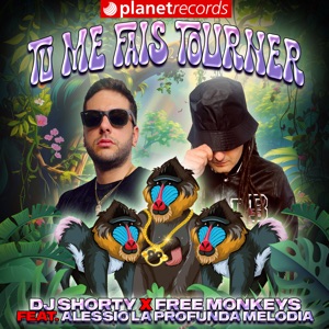 Tu Me Fais Tourner (feat. Alessio La Profunda Melodia) - Single