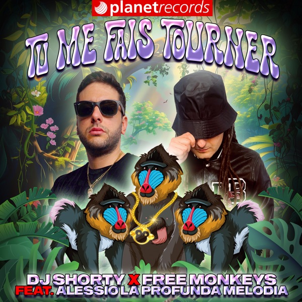 Tu Me Fais Tourner (feat. Alessio La Profunda Melodia) - Single