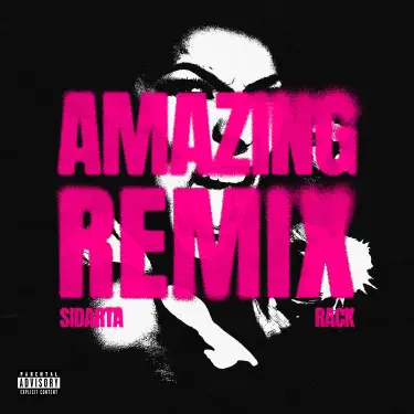AMAZING (Remix)