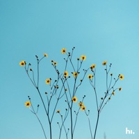 Beautiful