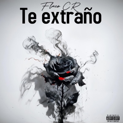 Te extraño - Single