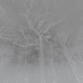 KOBE (feat. Camishit) lilnexo