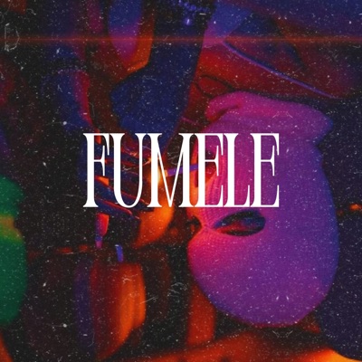 Fumele (feat. Dreamstudio MX) - Single