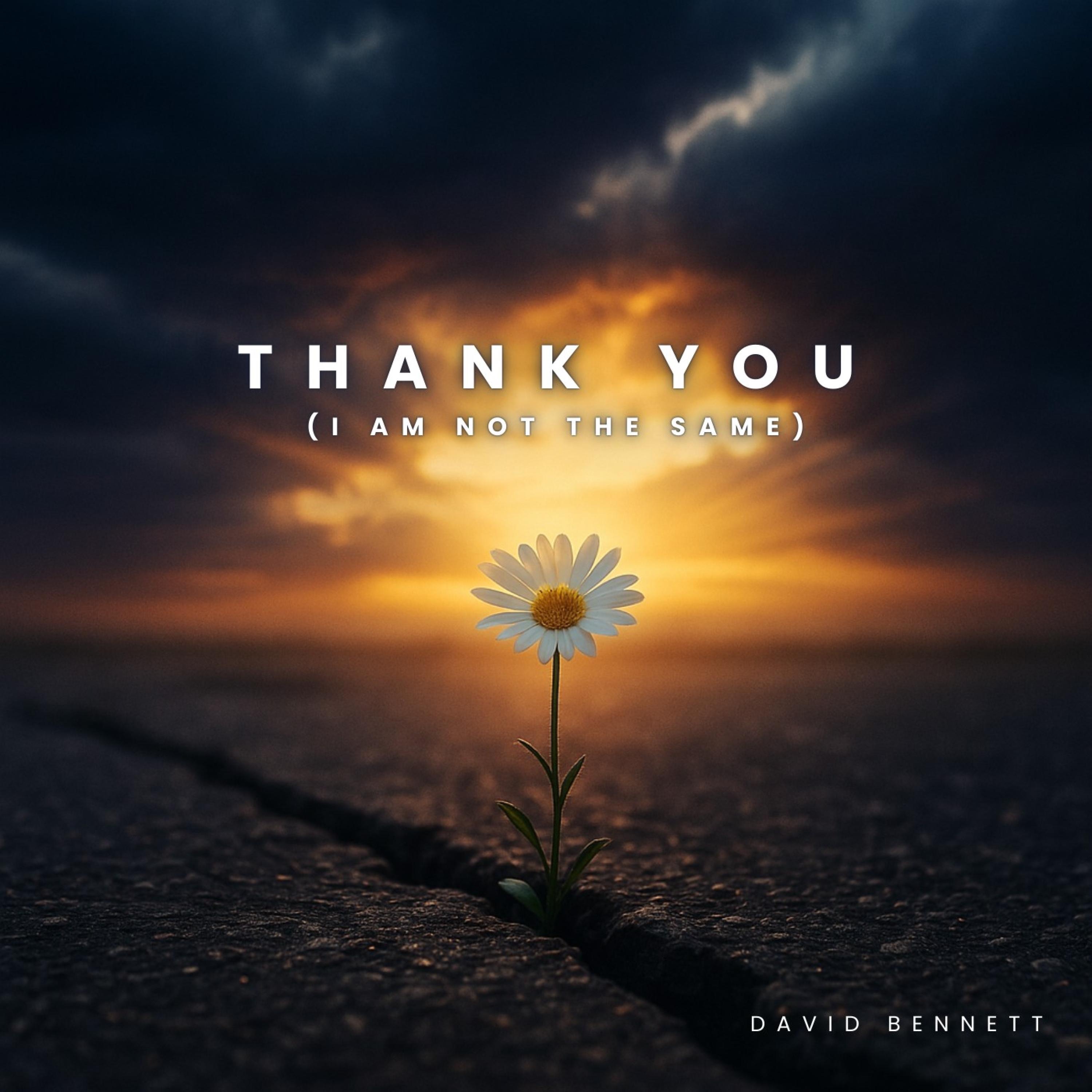 I Needed This Dave - Thank You (I Am Not The Same)