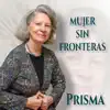 TE FUISTE METIENDO