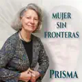 TE FUISTE METIENDO