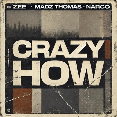 Crazy How (feat. Zee & Narcs) - Single