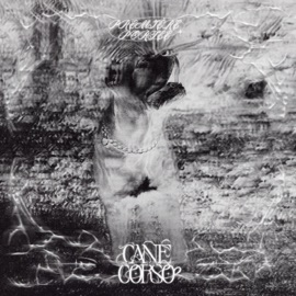 Duel Link Pura Pura & Hyas