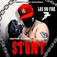 STUNT (feat. DJ RAIDER) - Single - HECTOR FLORES