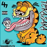 Morgenstern - Single - Terasaka