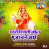 Kaise Shitali Maiya Puja Kare Aai DJ - Single