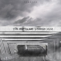 Три метра над уровнем небa - Single - Леша Lex