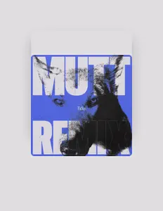 Ouça Tidus, assista a videoclipes, leia a biografia, veja as datas das turnês e mais!