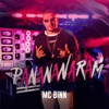 Panananaram - Single