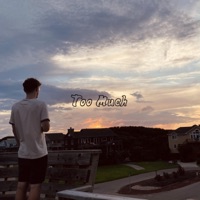 Too Much - Single - Finster