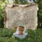 carrot cake - Annika Wells lyrics