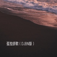 孤独颂歌 (Djbn版) - Single - CR3.